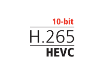 H265